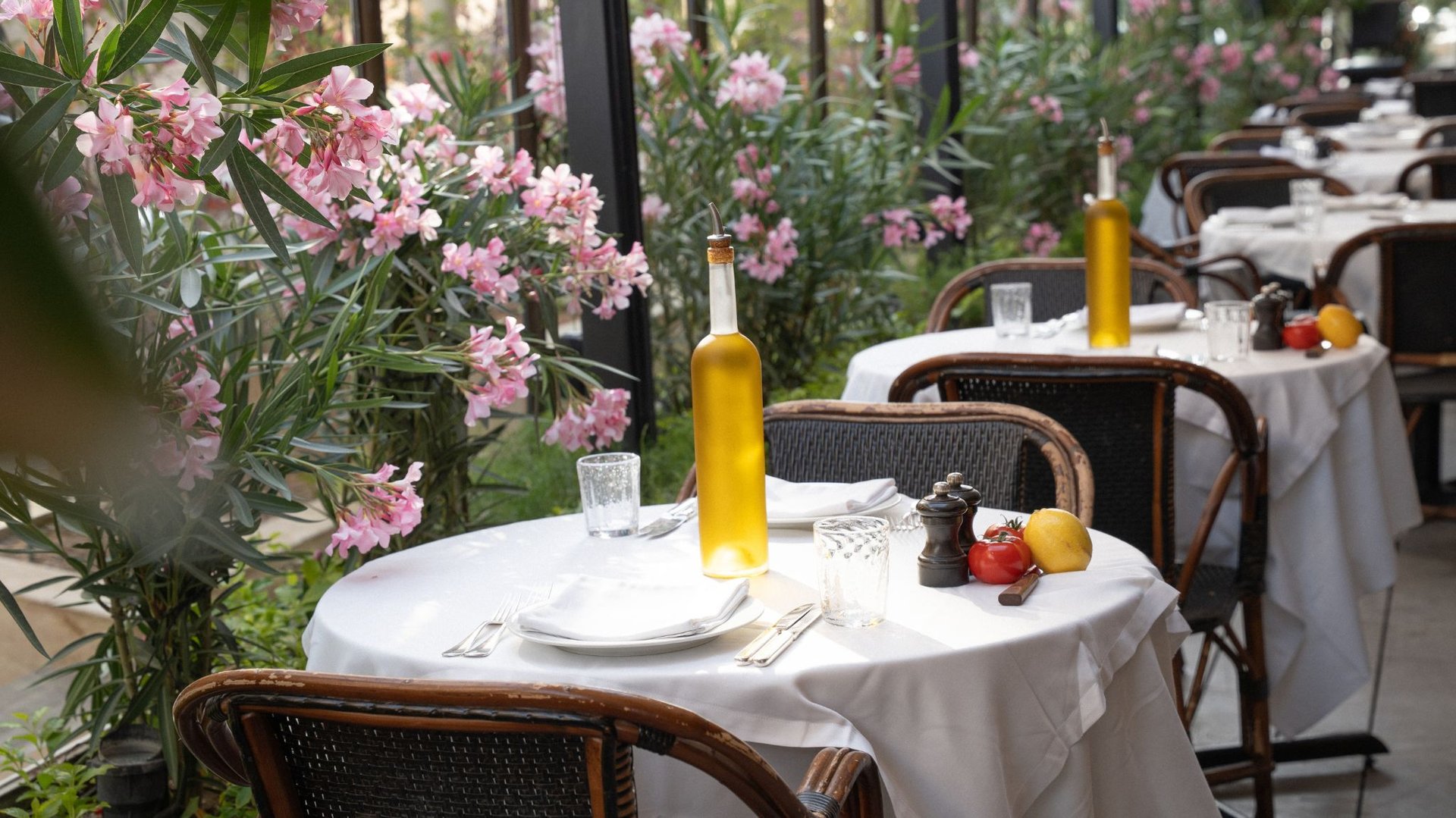 Riyadh Terrace 2025 2