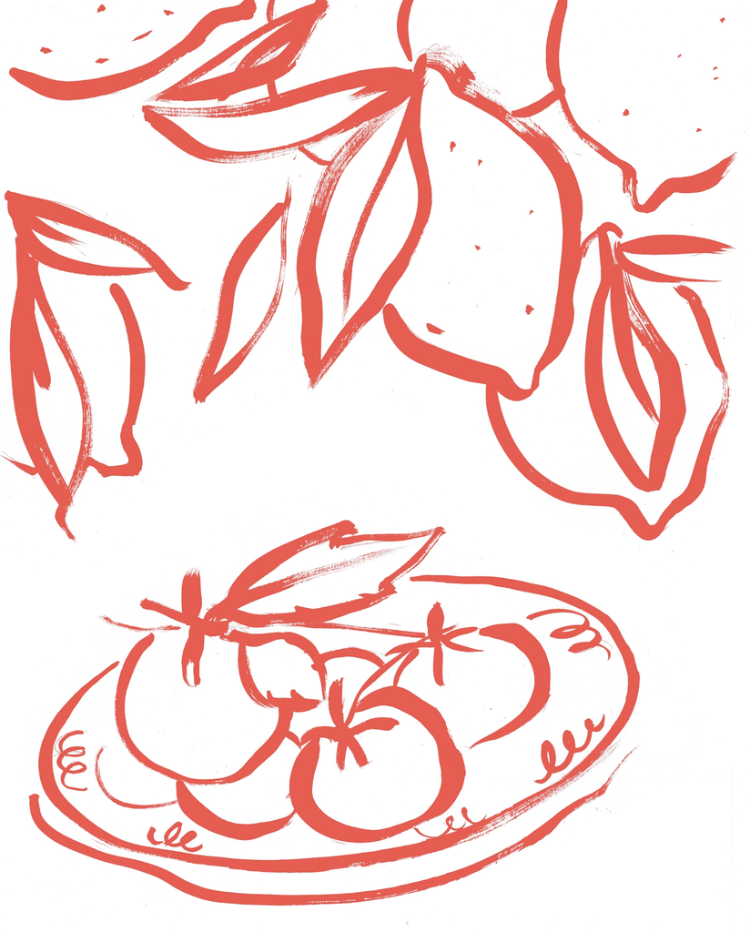 Lemons Tomatoes white@2x