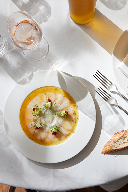 ABU DHABI HERRO BANNER